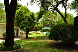 El parque arbolado y la pileta El parque arbolado y la pileta