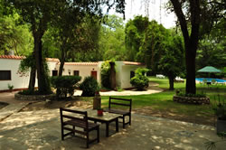 Las habitaciones junto al parque Las habitaciones junto al parque