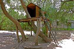 La casa del árbol La casa del árbol