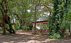 La casa del árbol junto al quincho