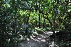 Sendero los Zorsales Sendero los Zorsales